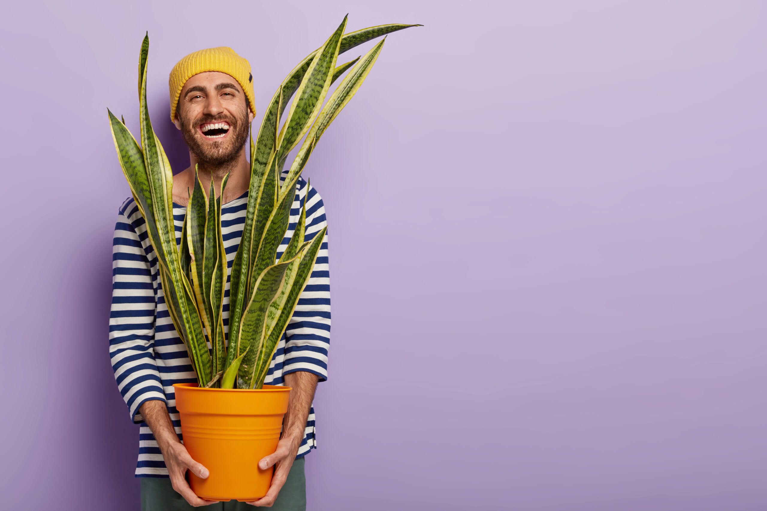 joyous optimistic guy carries pot with indoor plant laughs happily wears striped sailor jumper scaled 1